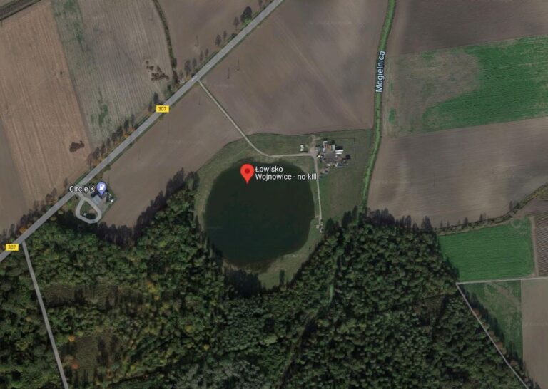 dojazd_WojnowiceNoKill