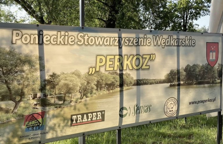 dzieczyna_perkoz